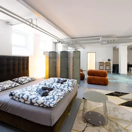 Sunlit Urban Haven Loft With Five Queen Beds Apartment Zurich